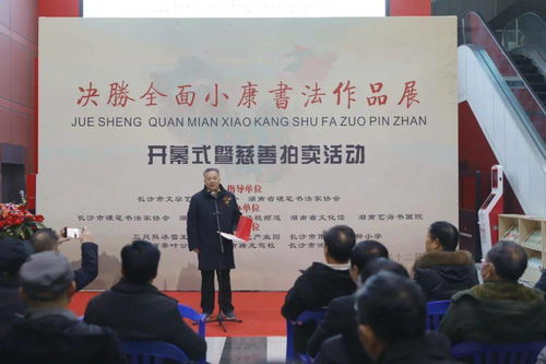 坚持文化初心 决胜全面小康 书法作品展暨慈善拍卖活动在湖南省文化馆举行
